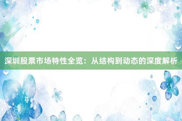 深圳股票市场特性全览：从结构到动态的深度解析
