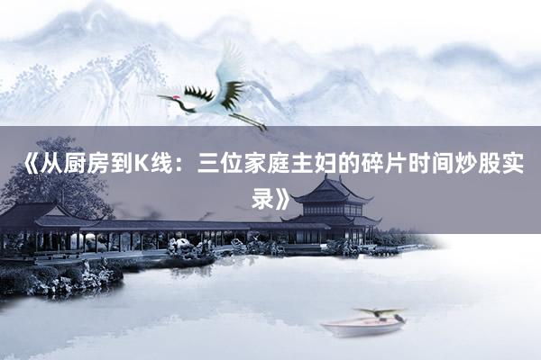 《从厨房到K线：三位家庭主妇的碎片时间炒股实录》