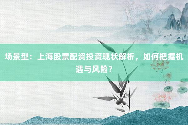 场景型：上海股票配资投资现状解析，如何把握机遇与风险？