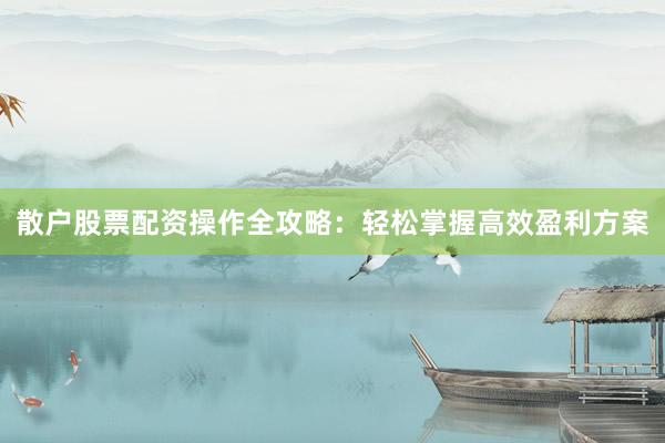 散户股票配资操作全攻略：轻松掌握高效盈利方案